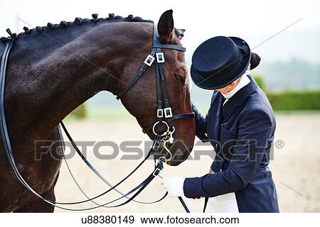Female rider petting dressage horse in equestrian arena View Large Photo Image Stock Photo - Female rider petting dressage horse in equestrian arena. Fotosearch
