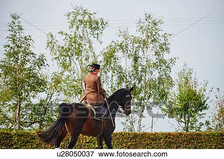 Stock Photo - Female rider trotting while training dressage horse in equestrian arena. Fotosearch