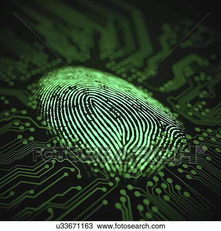 Stock Image - Fingerprint and printed circuit board, illustration. Fotosearch