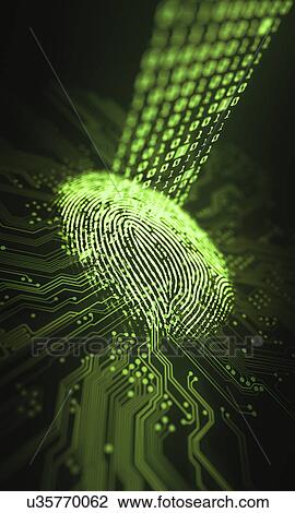 Fingerprint and printed circuit board, illustration View Large Photo Image Stock Image - Fingerprint and printed circuit board, illustration. Fotosearch