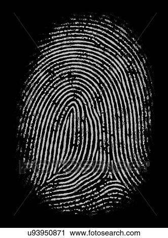 Fingerprint, illustration View Large Photo Image Stock Image - Fingerprint, illustration. Fotosearch