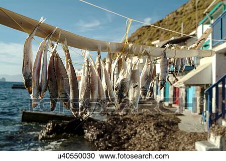 Stock Image - Fish drying on line, Mandrakia Village, Amadas, Milos Island, Greece. Fotosearch