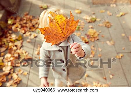 Girl holding autumn leaf in front of face View Large Photo Image Stock Photograph - Girl holding autumn leaf in front of face. Fotosearch