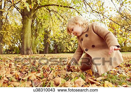 Girl picking up autumn leaves View Large Photo Image Stock Image - Girl picking up autumn leaves. Fotosearch