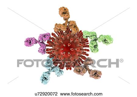 Gram-positive bacterial cell wall, illustration View Large Photo Image Stock Image - Gram-positive bacterial cell wall, illustration. Fotosearch
