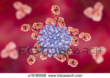 Gram-positive bacterial cell wall, illustration View Large Photo Image Stock Photograph - Gram-positive bacterial cell wall, illustration. Fotosearch