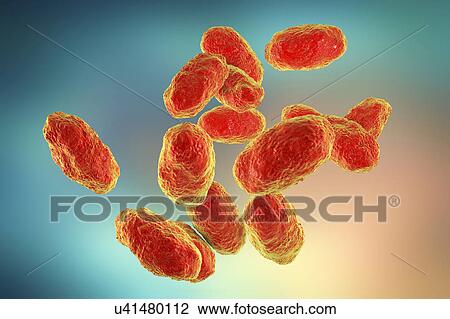 Haemophilus influenzae bacteria, illustration View Large Photo Image Stock Image - Haemophilus influenzae bacteria, illustration. Fotosearch