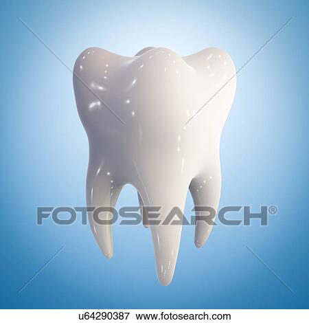 Stock Photo - Healthy molar tooth, illustration. Fotosearch