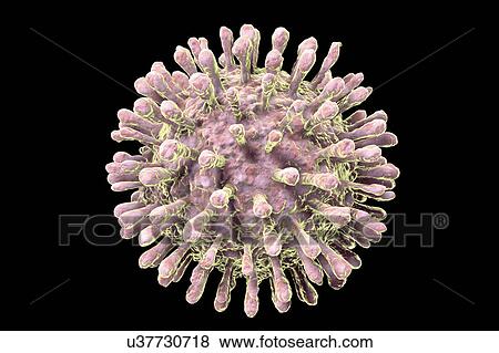 Stock Photo - HIV particles, illustration. Fotosearch
