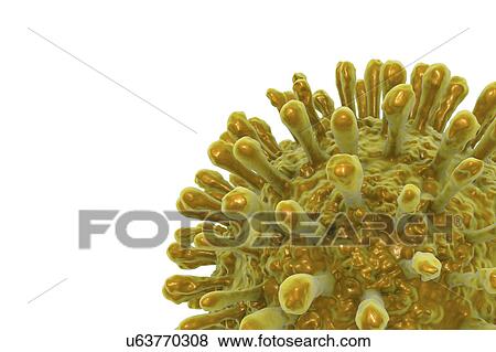 HIV particles, illustration View Large Photo Image Stock Photo - HIV particles, illustration. Fotosearch