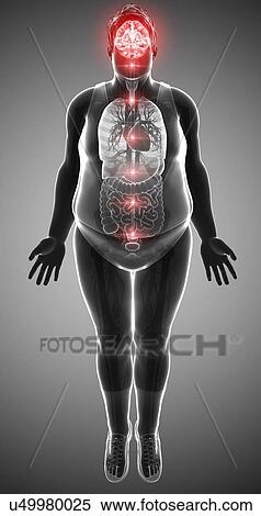 Human brain activity, illustration View Large Photo Image Stock Photography - Human brain activity, illustration. Fotosearch