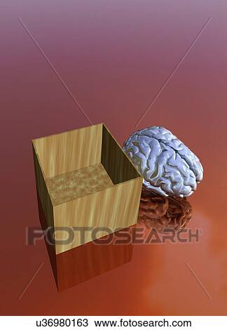 Stock Image - Human brain and empty box. Fotosearch