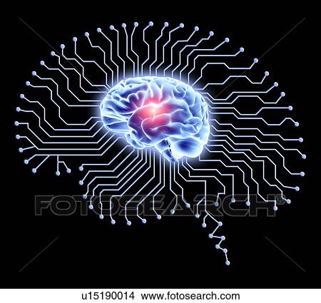 Human brain on brain-shaped circuit board View Large Photo Image Picture - Human brain on brain-shaped circuit board. Fotosearch