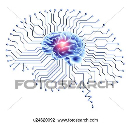 Human brain on brain-shaped circuit board View Large Photo Image Stock Image - Human brain on brain-shaped circuit board. Fotosearch