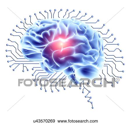 Stock Photo - Human brain on brain-shaped circuit board. Fotosearch