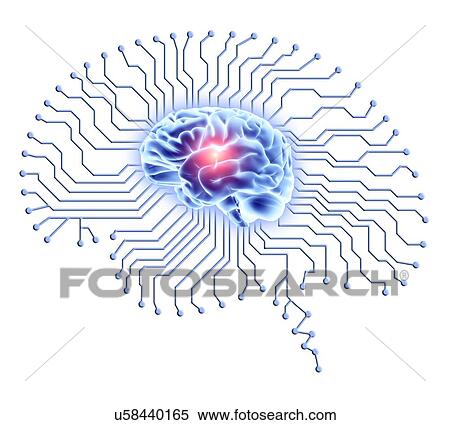 Stock Photography - Human brain on brain-shaped circuit board. Fotosearch