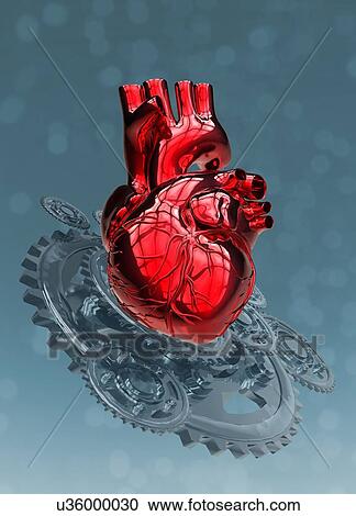 Human heart with metal cogs View Large Photo Image Stock Image - Human heart with metal cogs. Fotosearch