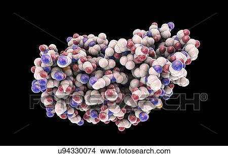 Human interferon alpha molecule View Large Photo Image Picture - Human interferon alpha molecule. Fotosearch