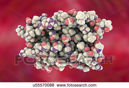Human interferon alpha molecule View Large Photo Image Stock Photo - Human interferon alpha molecule. Fotosearch