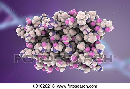 Human interferon alpha molecule View Large Photo Image Stock Photo - Human interferon alpha molecule. Fotosearch