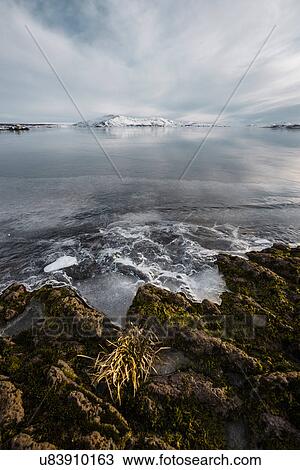 Ice on lake rocks at water's edge, Thingvallavatn, Iceland View Large Photo Image Stock Image - Ice on lake rocks at water's edge, Thingvallavatn, Iceland. Fotosearch