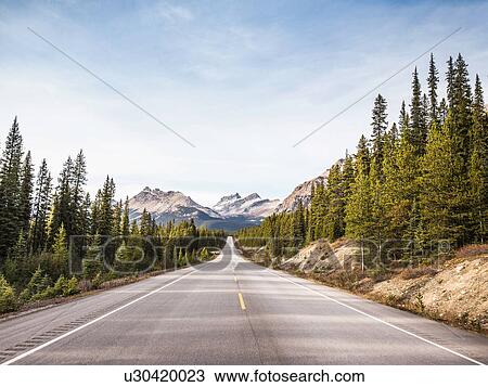 Stock Image - Icefields Parkway, Highway 93, Lake Louise, Alberta, Canada. Fotosearch