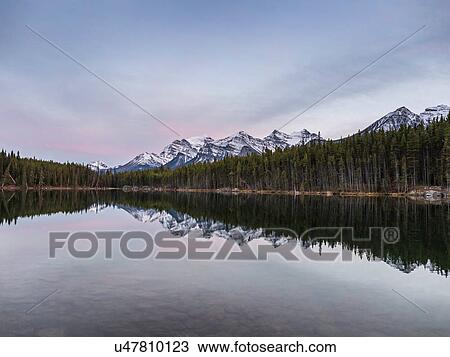 Stock Image - Icefields Parkway, Highway 93, Lake Louise, Alberta, Canada. Fotosearch