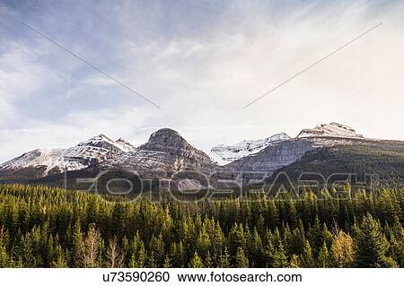 Stock Image - Icefields Parkway, Highway 93, Lake Louise, Alberta, Canada. Fotosearch