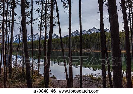 Stock Photograph - Icefields Parkway, Highway 93, Lake Louise, Alberta, Canada. Fotosearch
