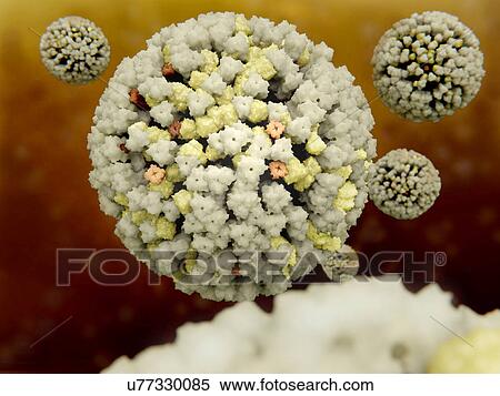 Stock Photography - Influenza viruses, illustration. Fotosearch