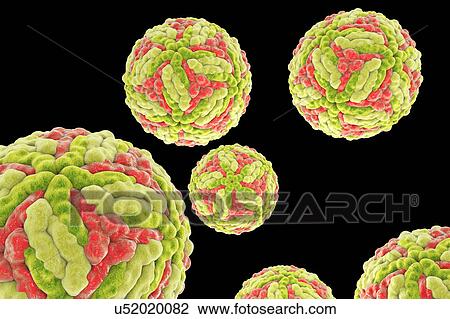 Stock Image - Interferon gamma molecule. Fotosearch