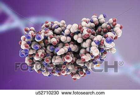 Interferon gamma molecule View Large Photo Image Stock Image - Interferon gamma molecule. Fotosearch