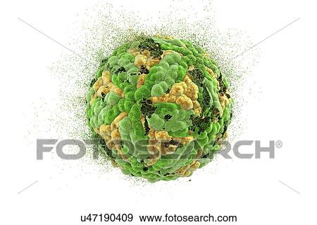 Stock Photo - Interferon gamma molecule. Fotosearch