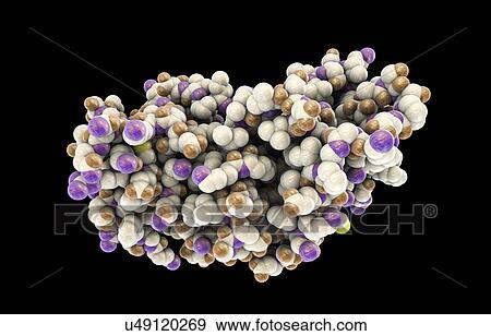 Stock Photo - Interferon gamma molecule. Fotosearch