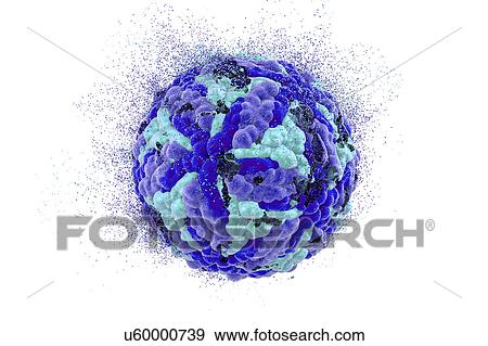 Interferon gamma molecule View Large Photo Image Stock Photo - Interferon gamma molecule. Fotosearch