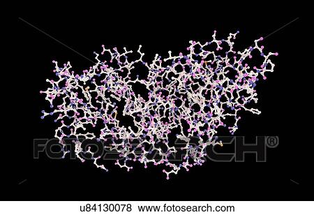 Stock Photo - Interferon gamma molecule. Fotosearch