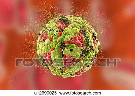 Stock Photography - Interferon gamma molecule. Fotosearch