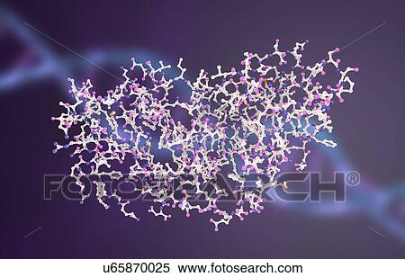 Stock Photography - Interferon gamma molecule. Fotosearch