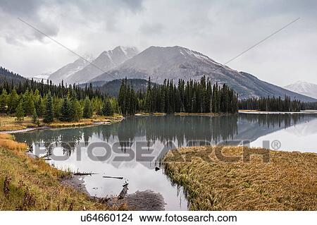 Kananaskis Country, Bow Valley Provincial Park, Kananaskis, Alberta, Canada View Large Photo Image Picture - Kananaskis Country, Bow Valley Provincial Park, Kananaskis, Alberta, Canada. Fotosearch