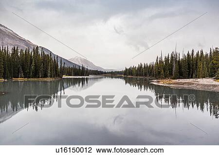 Kananaskis Country, Bow Valley Provincial Park, Kananaskis, Alberta, Canada View Large Photo Image Stock Image - Kananaskis Country, Bow Valley Provincial Park, Kananaskis, Alberta, Canada. Fotosearch