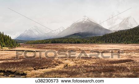 Kananaskis Country, Bow Valley Provincial Park, Kananaskis, Alberta, Canada View Large Photo Image Stock Image - Kananaskis Country, Bow Valley Provincial Park, Kananaskis, Alberta, Canada. Fotosearch