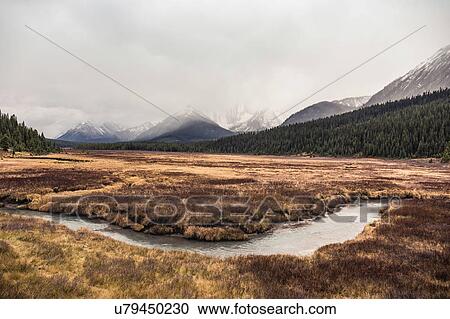 Kananaskis Country, Bow Valley Provincial Park, Kananaskis, Alberta, Canada View Large Photo Image Stock Image - Kananaskis Country, Bow Valley Provincial Park, Kananaskis, Alberta, Canada. Fotosearch
