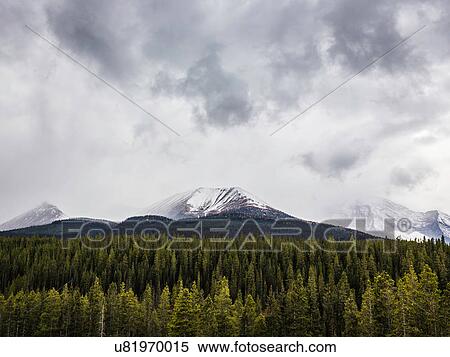 Kananaskis Country, Bow Valley Provincial Park, Kananaskis, Alberta, Canada View Large Photo Image Stock Photography - Kananaskis Country, Bow Valley Provincial Park, Kananaskis, Alberta, Canada. Fotosearch