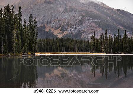 Kananaskis Country, Bow Valley Provincial Park, Kananaskis, Alberta, Canada View Large Photo Image Stock Photography - Kananaskis Country, Bow Valley Provincial Park, Kananaskis, Alberta, Canada. Fotosearch