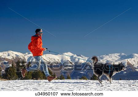 Stock Photo - Man running with dog in snow covered mountain landscape. Fotosearch