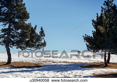 Stock Photo - Man walking dog in snow covered horizon. Fotosearch