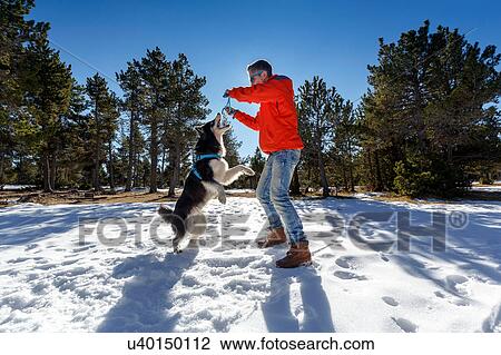 Mature man playing with dog in snow covered forest View Large Photo Image Stock Image - Mature man playing with dog in snow covered forest. Fotosearch