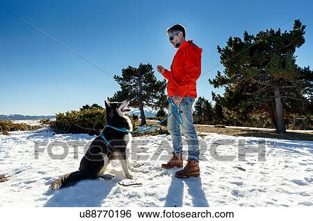 Mature man training dog in snow covered landscape View Large Photo Image Stock Photograph - Mature man training dog in snow covered landscape. Fotosearch