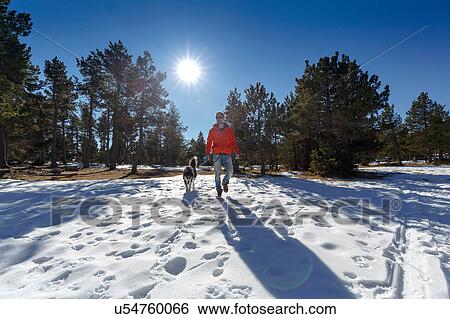 Stock Photograph - Mature man walking dog in snow covered forest. Fotosearch