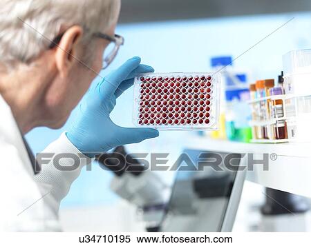Medical testing View Large Photo Image Stock Photography - Medical testing. Fotosearch